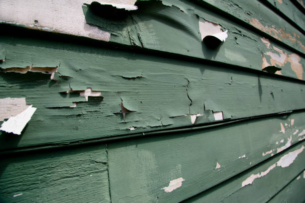 Best Construction Debris Removal  in Raintree Plantation, MO