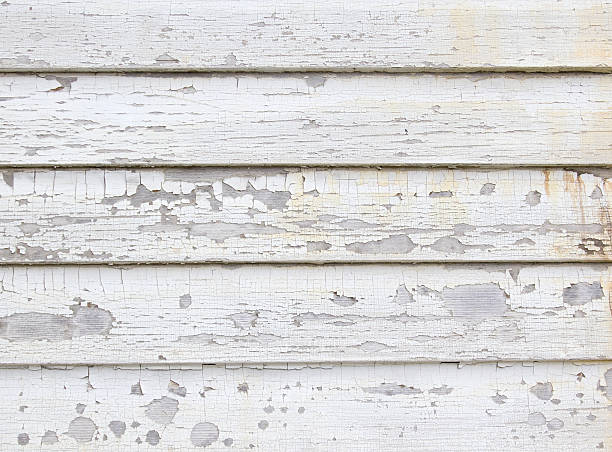 Best Residential Junk Removal  in Raintree Plantation, MO